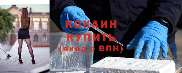 соль ск Бородино