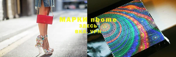 соль ск Бородино