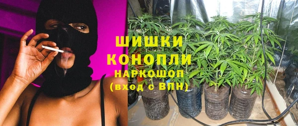 соль ск Бородино