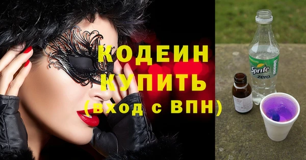 соль ск Бородино