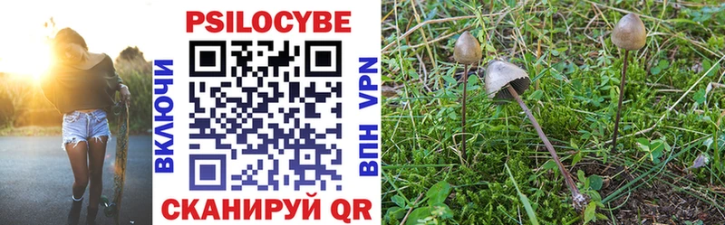 Купить закладки Вятские Поляны Галлюциногенные грибы Psilocybine cubensis